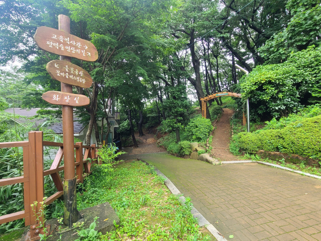 구덕문화공원 ‘편백숲 명상의 길’ 입구. 가슴을 열고 피톤치드 향을 한껏 들이마시며 산림욕을 하고 명상을 즐길 수 있는 길이다.