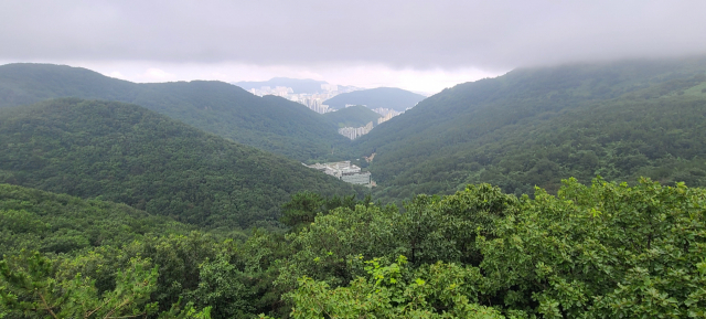 너럭바위전망대에 서면 구덕산과 시약산, 승학산 산줄기가 마치 파도처럼 차례로 밀려오는 듯하다.