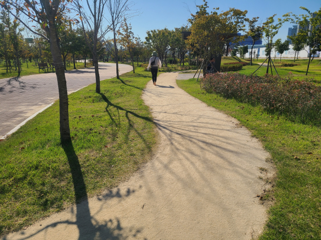 강서구 명지국제신도시에 있는 명지로 맨발산책길. 지역 주민들의 휴식·산책 공간으로 쓰였던 유수지 둘레에 마사토(굵은 모래)를 깔아 산책로를 조성했다. 마사토는 지압 효과가 뛰어나다.
