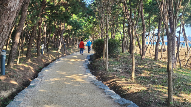 강서구 명지오션시티 명지해안방재림 사이로 나 있는 맨발 산책로. 명지오션시티의 가장자리 해안방재림을 따라 3km 정도로 길게 이어진다. 낙동강 하구에 모래가 쌓여 만들어진 대마등과 명지오션시티 사이에 있는 하구 습지