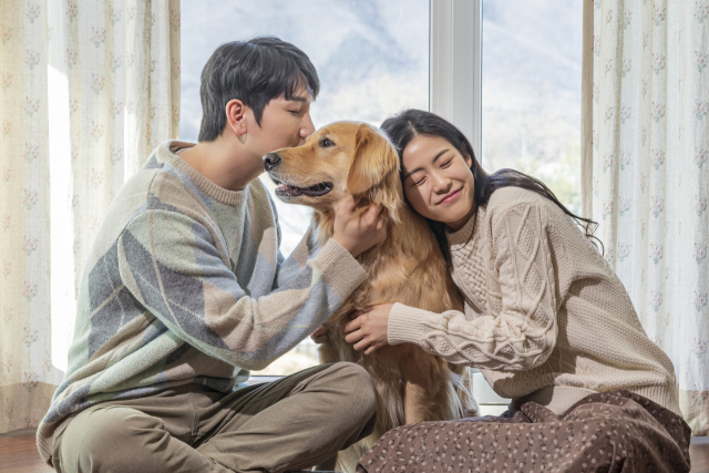 동물 등록은 동물 보호와 유기·유실 방지를 위해 생후 2개월 이상 된 개라면 필수적으로 해야 한다. 이미지투데이