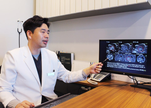 케이엠동물건강검진센터 김현수 센터장이 보호자에게 검진 결과를 설명하고 있다. 케이엠동물건강검진 제공