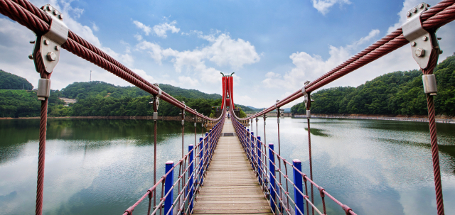 청양군 천장호 출렁다리. 웅장함에 압도되고 천장호 주변 풍경에 감명받는다.
