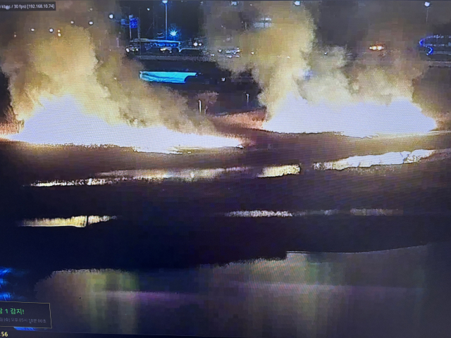 24일 오후 7시 26분 울산 북구 명촌동 명촌교 인근 갈대밭에서 화재가 발생해 시뻘건 불길과 함께 흰 연기가 치솟고 있다.울산소방본부 제공