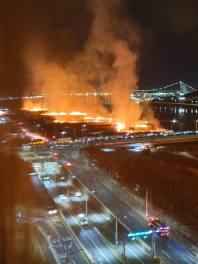 24일 오후 7시 26분 울산 북구 명촌동 명촌교 인근 갈대밭에서 원인을 알 수 없는 불이 나 일대가 연기로 가득 차 있다.불은 신고를 받고 출동한 소방 당국에 의해 약 1시간 만에 완진됐다.울산명촌진장방범자문위