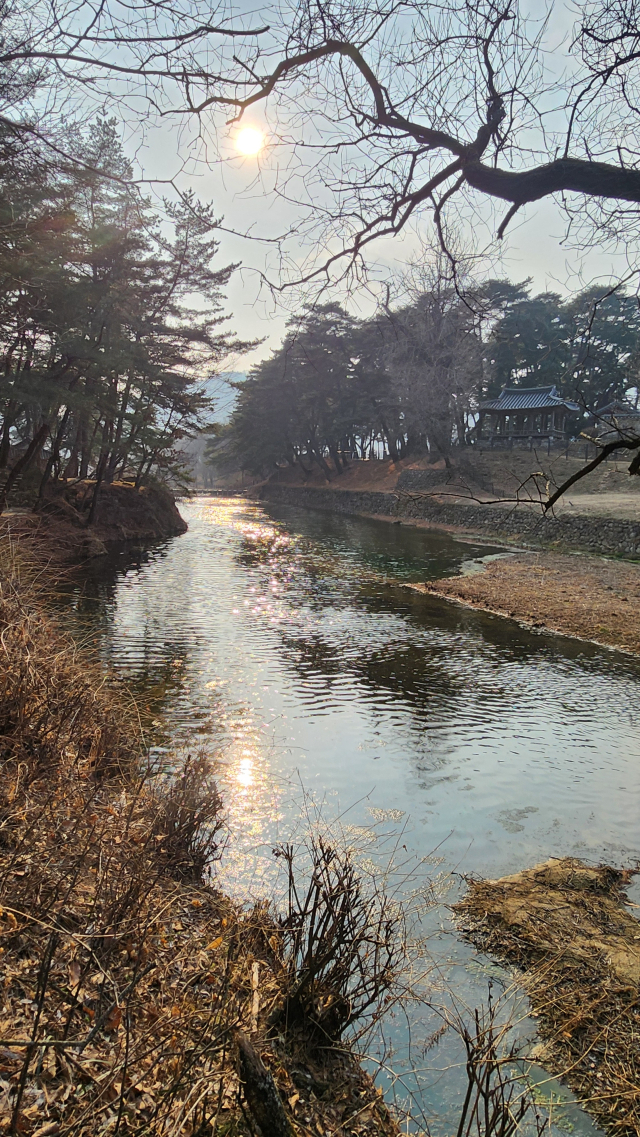 금성대군이 단종 복위 거사를 도모하다 죽임을 당할 당시 순흥마을 사람들도 수양대군에 의해 무참히 살해되면서 마을 자체가 없어졌다. 당시 죽어간 순흥마을 사람들의 시신과 피가 죽계천을 가득 메웠고, 그 피가 수 십리 