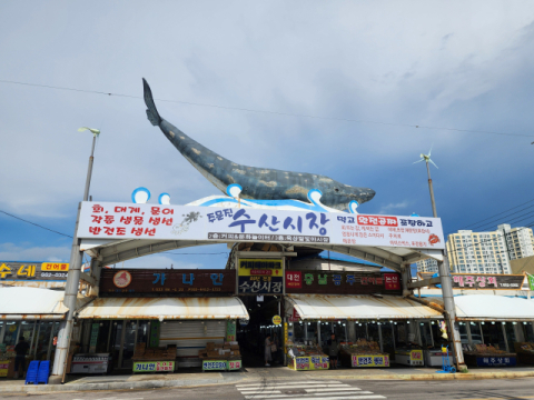 주문진 수산시장의 모습.