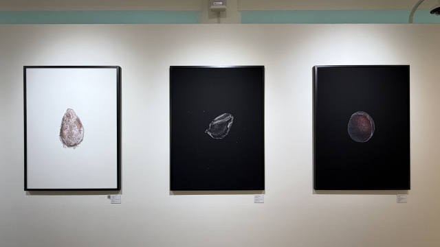부산을 떠올리게 하는 토마토(대저), 대파(기장), 그리고 김치의 주재료인 배추 씨앗을 촬영한 3점. 김은영 기자 key66@