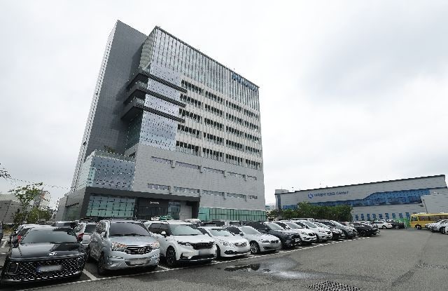 상폐 위기 금양의 승부수! 물적분할로 데이터센터 사업 전환