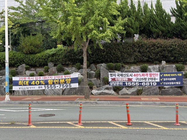 미분양관리지역 지정된 강서구, 명지 일대 불법 분양 현수막 깔려 주민...