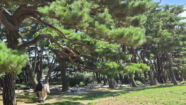 충북 제천을 맛보고 걷고 이야기 들을 수 있는 미식 여행 ‘가스트로 투어’(Gastro Tour). 건강한 음식에 한껏 행복해진 뒤 만나는 치유의 숲은 관람객은 물론이고, 지역민들에게 힐링과 치유의 공간이 되고 있다