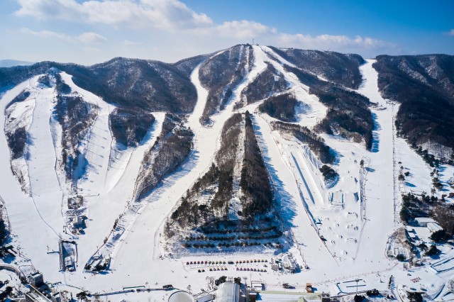 휘닉스·용평·알펜시아 스키장 전 슬로프 대부분 오픈 휘닉스·용평·알펜시아 스키장 전 슬로프 대부분 오픈