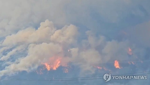 [속보]<b>산청 산불</b> 실종자 2명 숨진 채 발견…사망 4명으로 늘어