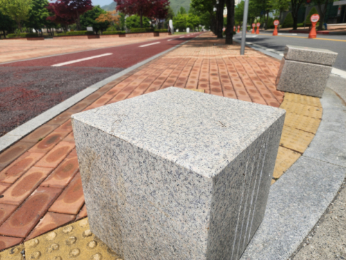 11일 오전,영월읍 스프츠파크 한 횡단보도 점자블럭 중앙에 차량 진입 억제용 말뚝이 세워져 있다.