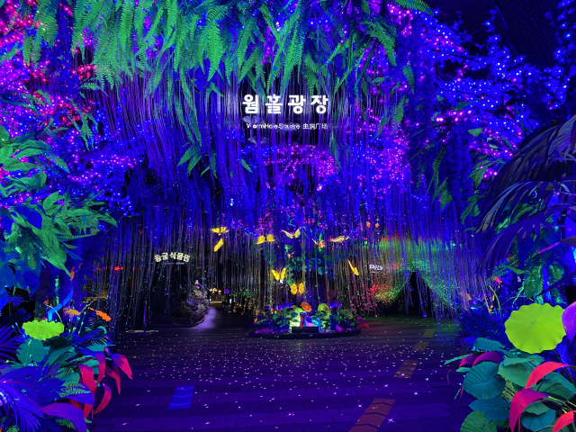 광명동굴 내 과거와 현재를 잇는 ‘웜홀광장’. /광명시 제공