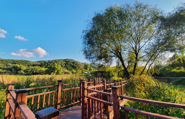 광명9경 중 하나인 안터생태공원. /광명시 제공