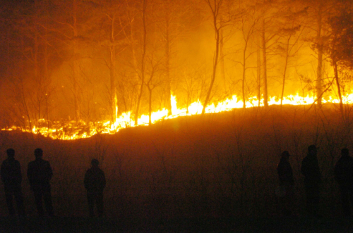 ◇ 1996년 고성 산불은 양간지풍,송진이 많은 소나무 밀집 지역,험준한 지형 등의 영향으로 불길이 급속하게 확산됐다.산불 대응 매뉴얼은 지금처럼 세분화되지 않아 거센 불길을 막기엔 역부족이었다.강원일보DB.
