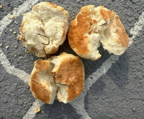 ◇사진=연합뉴스.