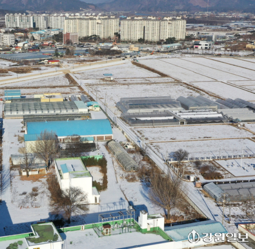 ◇우두동 옛 농산물원종장 및 도농업기술원 부지. 강원일보DB.