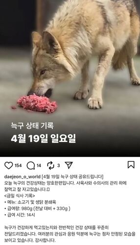 [오월드 인스타그램 갈무리. 재판매 및 DB 금지]