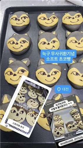 [하레하레 공식 인스타그램 갈무리]