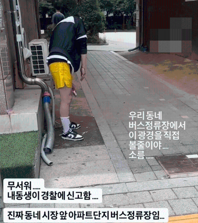 ◇사진=온라인 SNS