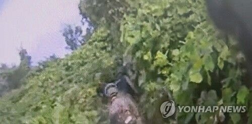 <b>DMZ</b> 지뢰 추정 <b>폭발</b> 관련 이재명 대통령·군 지휘부 고발