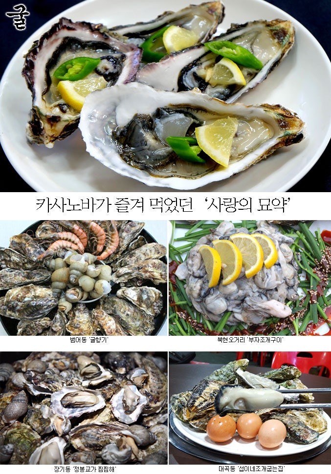 [맛 eat는 집] 굴, 남자에겐 힘! 여자에겐 미!