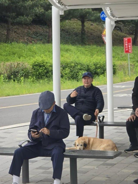 파면된 윤석열 전 대통령이 반려견과 함께 한강공원을 산책하는 모습이 포착됐다.온라인 커뮤니티 캡처