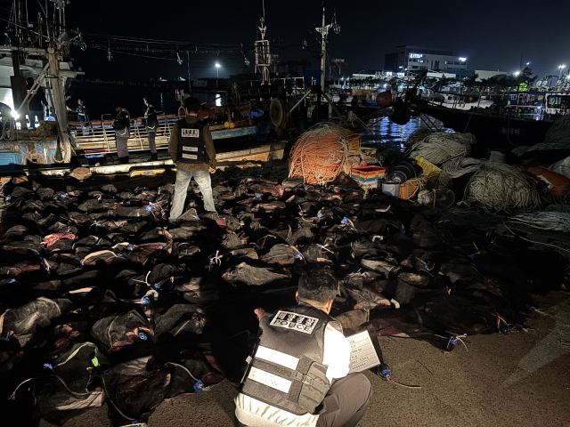 지난 7일 오후 포항시 북구 한 항구로 들어오려던 불법 포획'해체 고래고기를 해양경찰관들이 적발해 압수하고 있다.포항해양경찰서 제공.