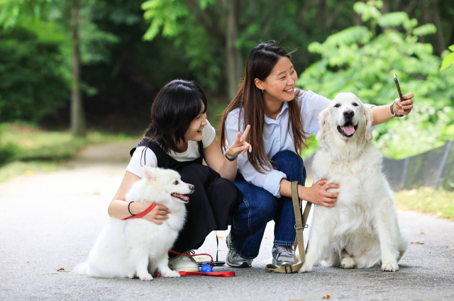 삼성물산 리조트부문 에버랜드가 반려견과 함께 숲속에서 트레킹하며 힐링할 수 있는 '멍하니 걷개' 체험 프로그램을 처음 선보인다고 18일 밝혔다. 사진은 보호자들과 강아지가 '멍하니 걷개'가 진행되는 포레스트 캠프에