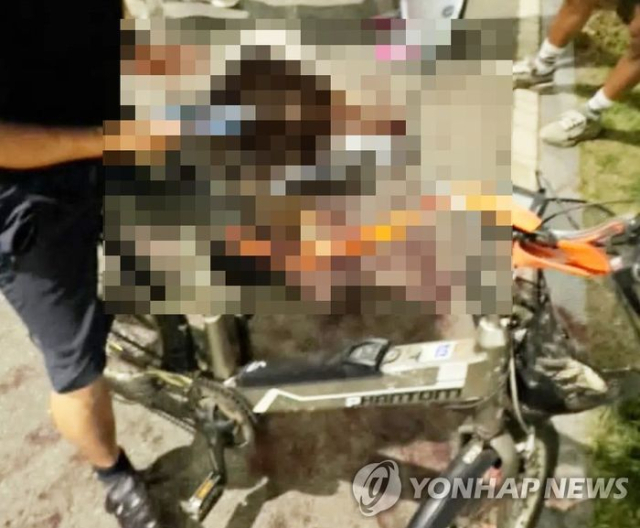 대형견 전기자전거에 매달고 죽을 때까지 달린 견주. 연합뉴스