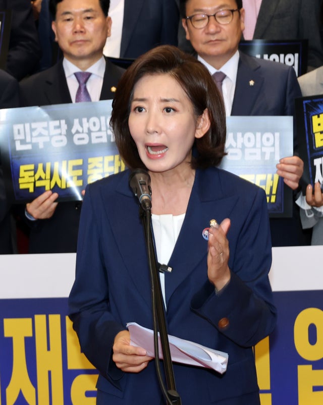 나경원 "메가 프로젝트, 기업 합리적 결정인지 검증 필요…국조·특검해야"