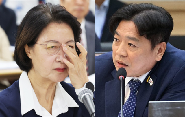 국감 '소방 빨대' 발언 논란, 민주당 조사 착수