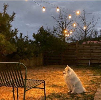 0002217058_001_20210324220143757.jpg?type=w430