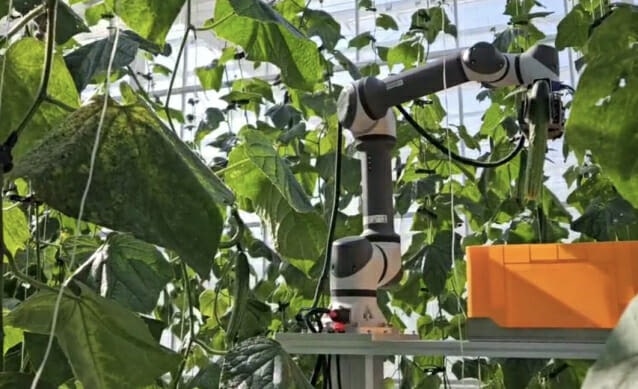 0002399325_001_20251120233217266.jpg?type=w800