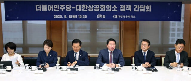 대한상의, 민주당 지도부와 간담회…RE100 산단 등 <b>논의</b>