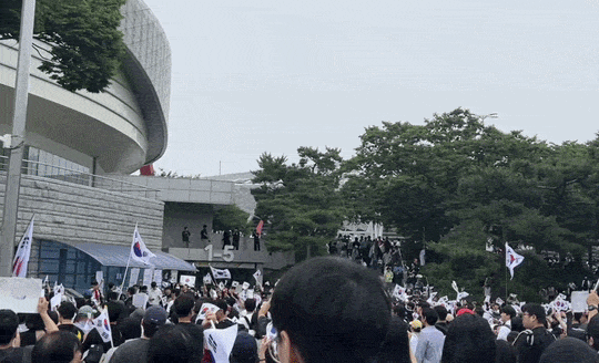 6·3 지방선거 항의 집회, 연예인 SNS까지 불똥