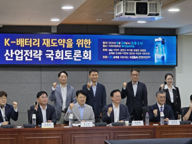 "中 1위 오를 동안 K배터리는 공장 처분…세제 지원, 있어도 없는 ...