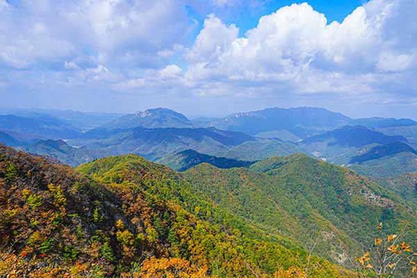 선야봉 오름 조망 터에서 뒤돌아보니 동북쪽으로 천등산과 금남정맥의 대둔산,오대산 능선이 곧추서서 주위를 평정하고 있다.