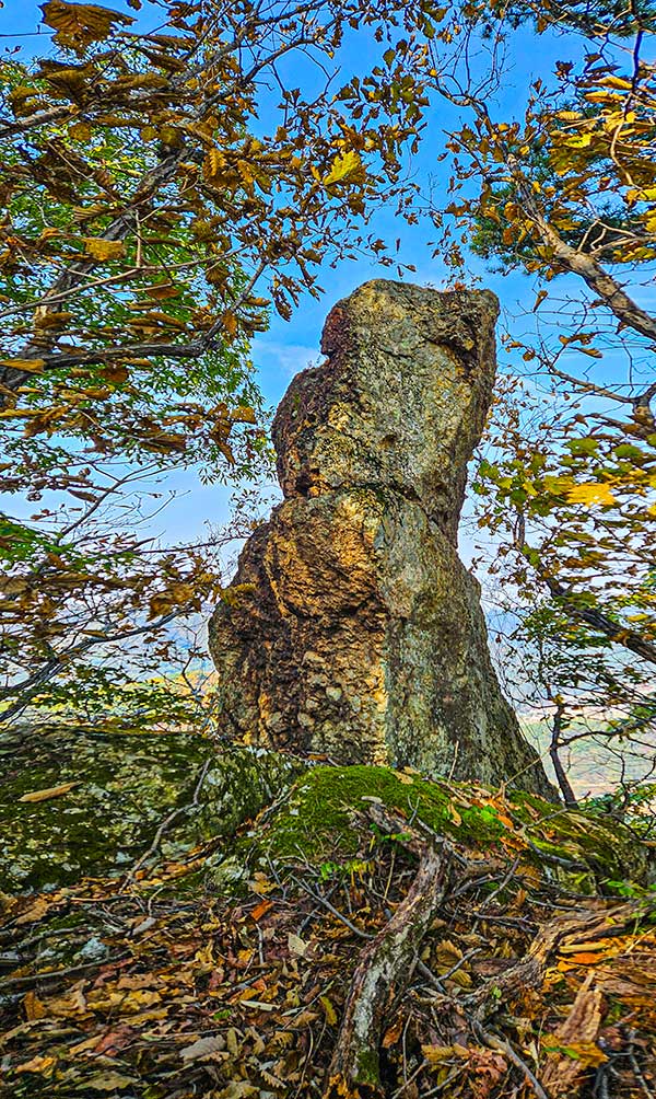 급경사 바위 비탈 오르막을 올라 잠시 허리를 펴면 만나게 되는 바위.영락없이 강아지 한 마리가 앉아 있는 모습이다.
