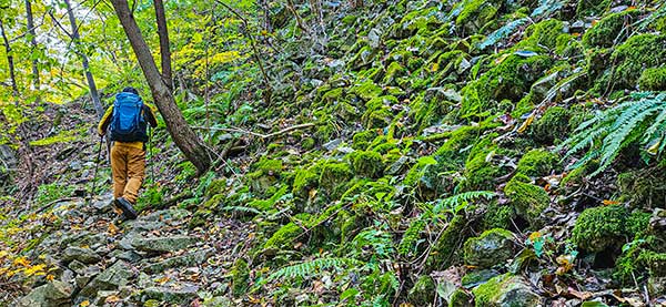 신선봉에서 사방댐 방향으로 내려서는 길은 경사로 낙엽에 미끄럽고 바위 너덜로 낙석 위험주의 구간,이끼가 돌마다 가득하다.