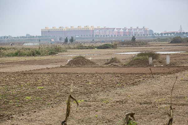 태항산으로 가는 버스 창밖에서 곧잘 발견할 수 있는 묘들.