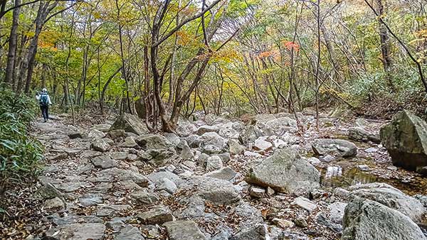 은선골은 애기단풍들이 아름다운 계곡이다.