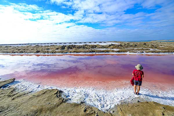 샌드위치 하버의 염전. 미생물과 유기물의 작용으로 물빛은 보라색, 남색, 갈색 등 다양한 색을 연출한다.