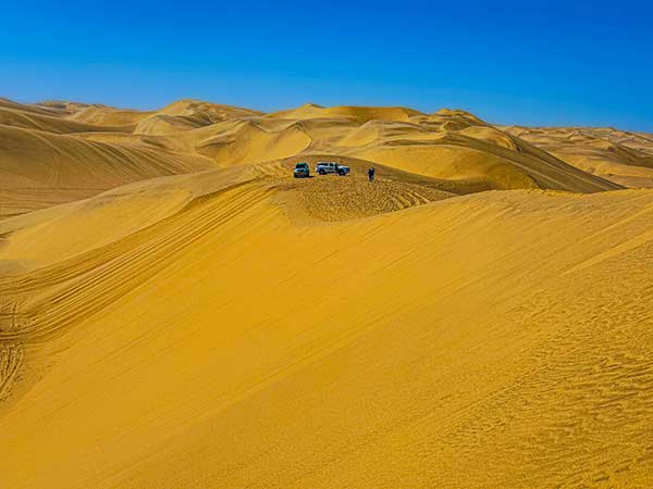 현실감이 사라질 만큼 거대한 사구 위에서 4륜구동 지프를 타고 모래 능선을 질주하는 샌드위치 하버 지프 투어의 한 장면. 