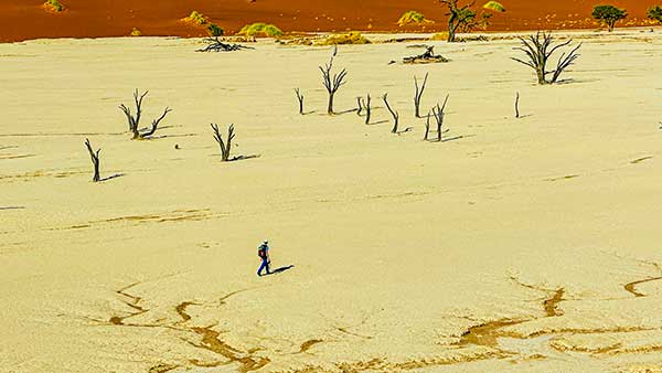 약 800년 전 생을 마친 나무들이 마른 채로 서 있는 죽음의 계곡, 데드블레이.