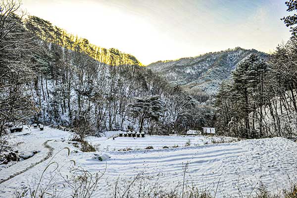 우리 땅은 조금밖에 안 되는데 앞산, 뒷산, 멀리 보이는 큰 산까지 내 것처럼 안고 산다. 그러다가 도시의 아파트 한 칸 값을 생각해 보면 도대체 누가 부자인지 모르겠다.