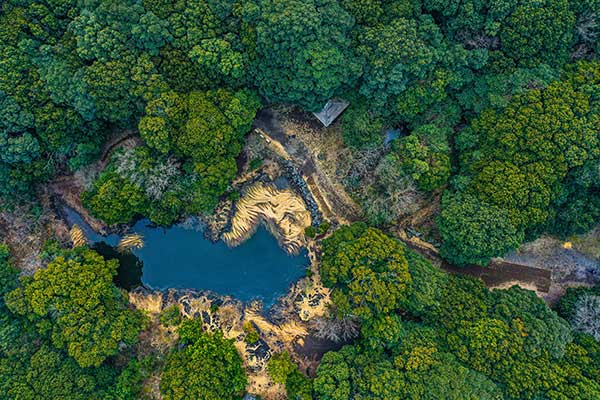 먼물깍과 주변 숲. 선흘리 주민들이 대대로 기대 산 삶의 터전이다.
