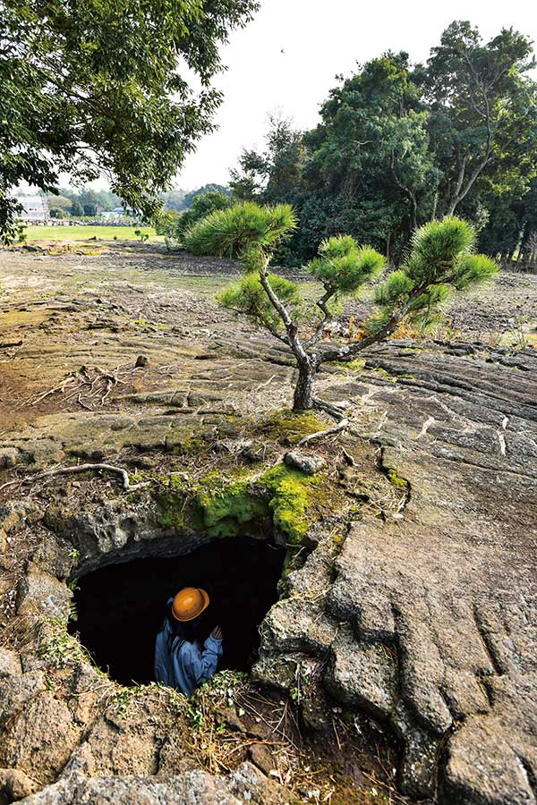 비케이브 정원 동굴.